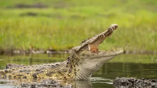Africká abeceda