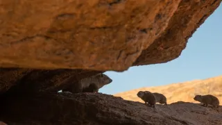 Africká abeceda