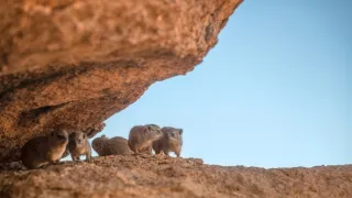 Africká abeceda