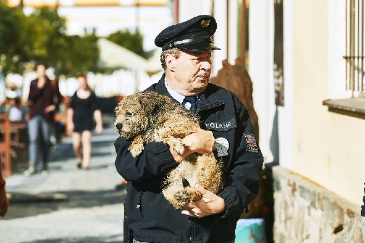 Policie Modrava, 2019 - fotogaléria