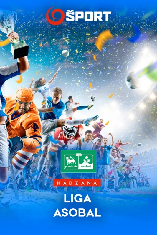 Hádzaná Liga Asobal - fotogaléria
