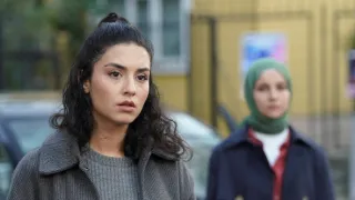 Féktelen szív II (44)