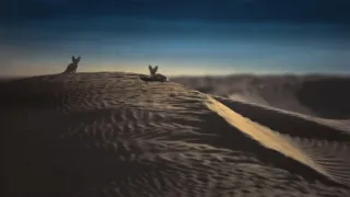 Zázračná planeta: Savci (1/6)