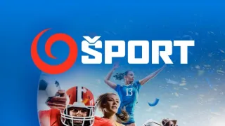 World Triathlon Championships Series