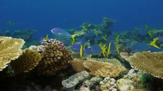 Poslední přírodní ráje II (3/3)