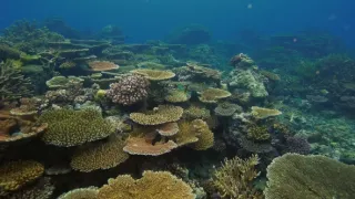 Poslední přírodní ráje II (3/3)
