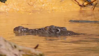Poslední přírodní ráje II (3/3)