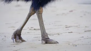 Poslední přírodní ráje II (3/3)