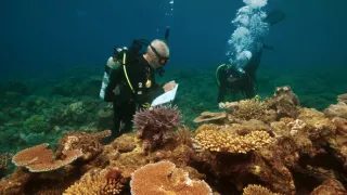 Poslední přírodní ráje II (3/3)