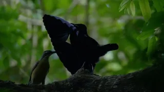 Poslední přírodní ráje II (3/3)