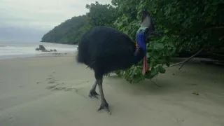 Poslední přírodní ráje II (3/3)