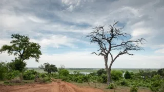 Africká abeceda