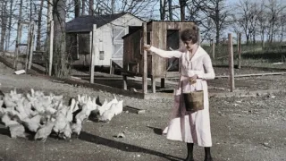 Vojna všetkých Francúzov