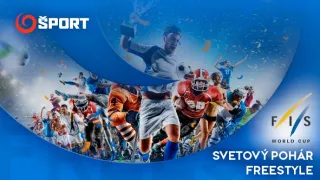 FIS Svetový pohár freestyle