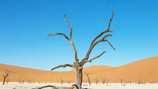 Namibie, perla jižní Afriky