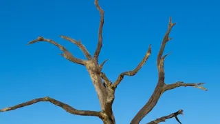 Namibie, perla jižní Afriky