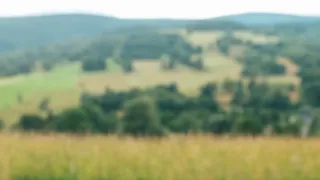 Zpátky do přírody