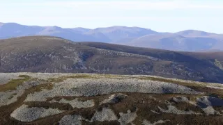 Skotsko - nová divočina (1/3)