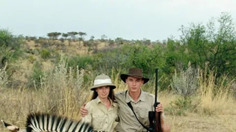 Safari