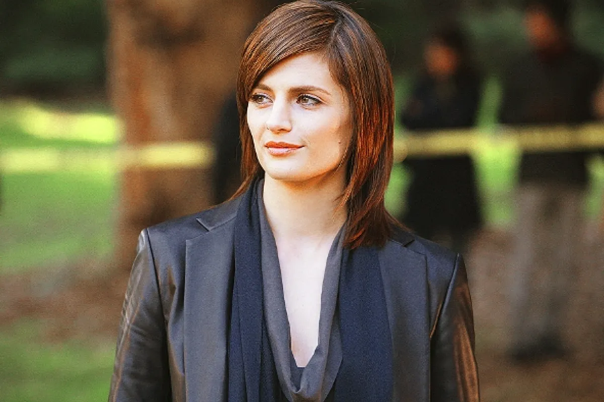 Vtierka Castle (Castle II), 2010 - fotogaléria