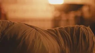 Ramesse II. a jeho dynastie (5/6)