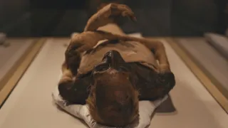 Ramesse II. a jeho dynastie (5/6)