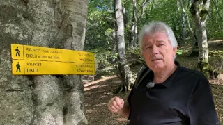 Postřehy odjinud