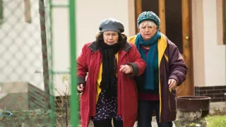 Doktoři z Počátků (135)