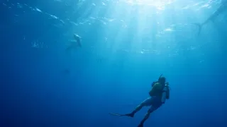 Zázračná planeta: Savci (3/6)