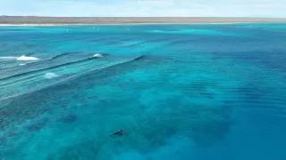 Zázračná planeta: Savci (3/6)