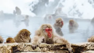 Bouřlivý rok na Zemi (6)