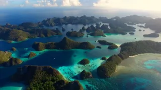 Bouřlivý rok na Zemi (6)