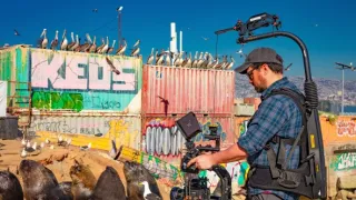 Zázračná planeta: Savci (2/6)