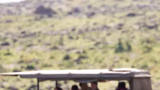 Zázračná planeta: Savci (2/6)