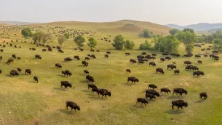 Zázračná planeta: Savci (2/6)