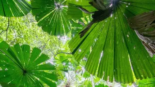 Queensland, sluneční stát Austrálie