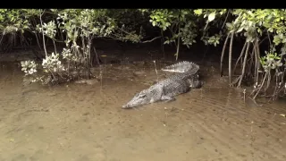 Queensland, sluneční stát Austrálie