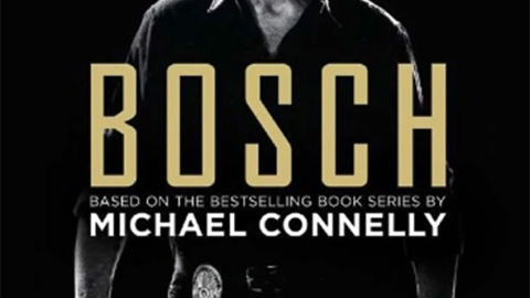 Bosch (6)