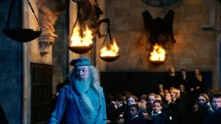 Harry Potter és a Tűz Serlege