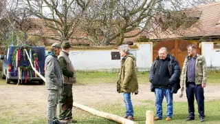 Slunečná (115)