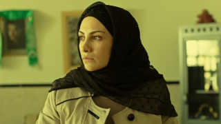 Fauda (8/12)