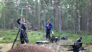 Skotsko - nová divočina (1/3)