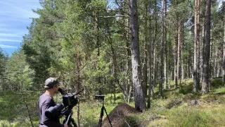 Skotsko - nová divočina (1/3)