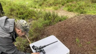 Skotsko - nová divočina (1/3)