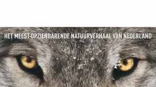 Vlk: Tulák bez hranic (2/2)