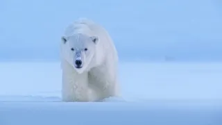 Zázračná planeta: Savci (4/6)