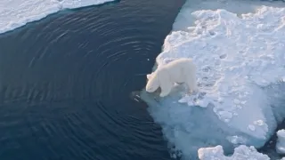 Zázračná planeta: Savci (4/6)