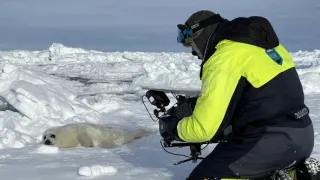 Zázračná planeta: Savci (4/6)
