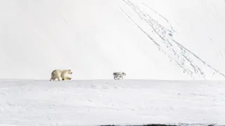 Zázračná planeta: Savci (4/6)