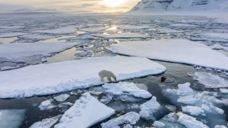 Zázračná planeta: Savci (4/6)